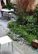 Neve in giardino nei giorni scorsi
